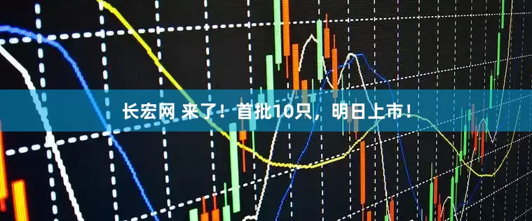 长宏网 来了！首批10只，明日上市！