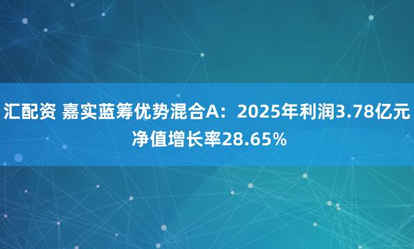 汇配资 嘉实蓝筹优势混合A：2025年利润3.78亿元 净值增长率28.65%